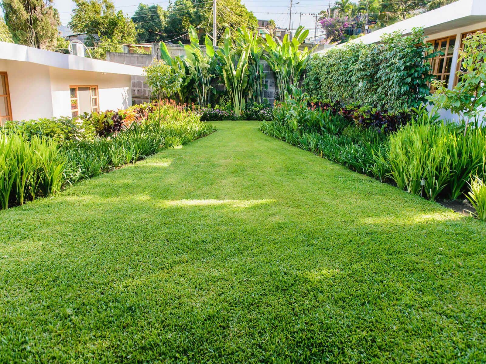 A well-maintained garden with a variety of plants and a neatly trimmed lawn.