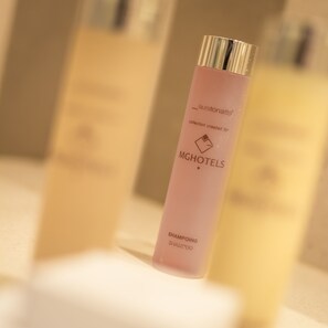 Douche, articles de toilette gratuits, sèche-cheveux, peignoirs