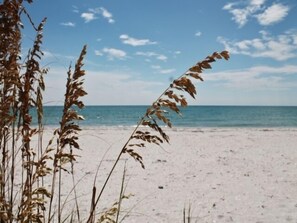 Beach nearby - New dates in DECEMBER available!!! Private island with free ferry service. (Placida, Little Gaspirilla Island)