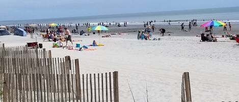 On the beach