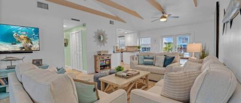 Smart TV, books, stereo