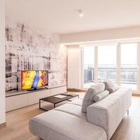 Televisión de pantalla plana