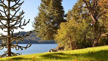 A serene lakeside view with a prominent coniferous tree and a grassy foreground.