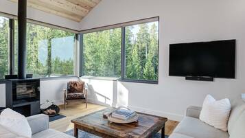 Télévision, cheminée, jeux vidéo, chaßne hi-fi