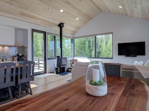TV, fireplace, video games, stereo