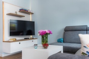 Apartamento (50) | Zona de estar | Una televisión de pantalla plana