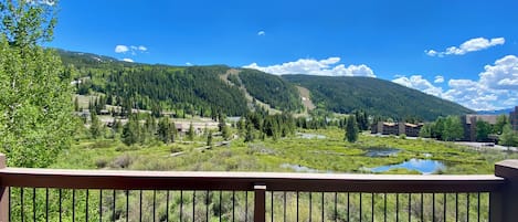 A scenic view from a balcony with a railing, overlooking a mountainous landscape with a river, buildings, and greenery.