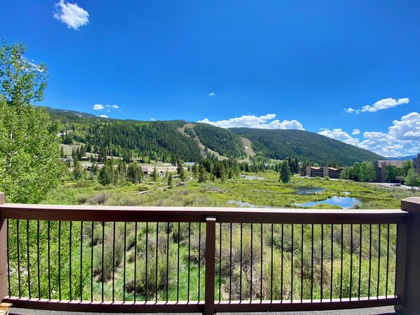 Terrain de l’hébergement 