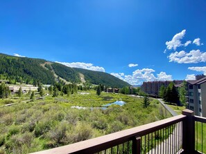 Property grounds - Summer Getaway | Deck Above Scenic Wetlands (Keystone)