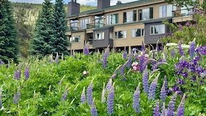 En fleretagers boligbygning med balkoner, omgivet af frodigt grønt og blomstrende planter.