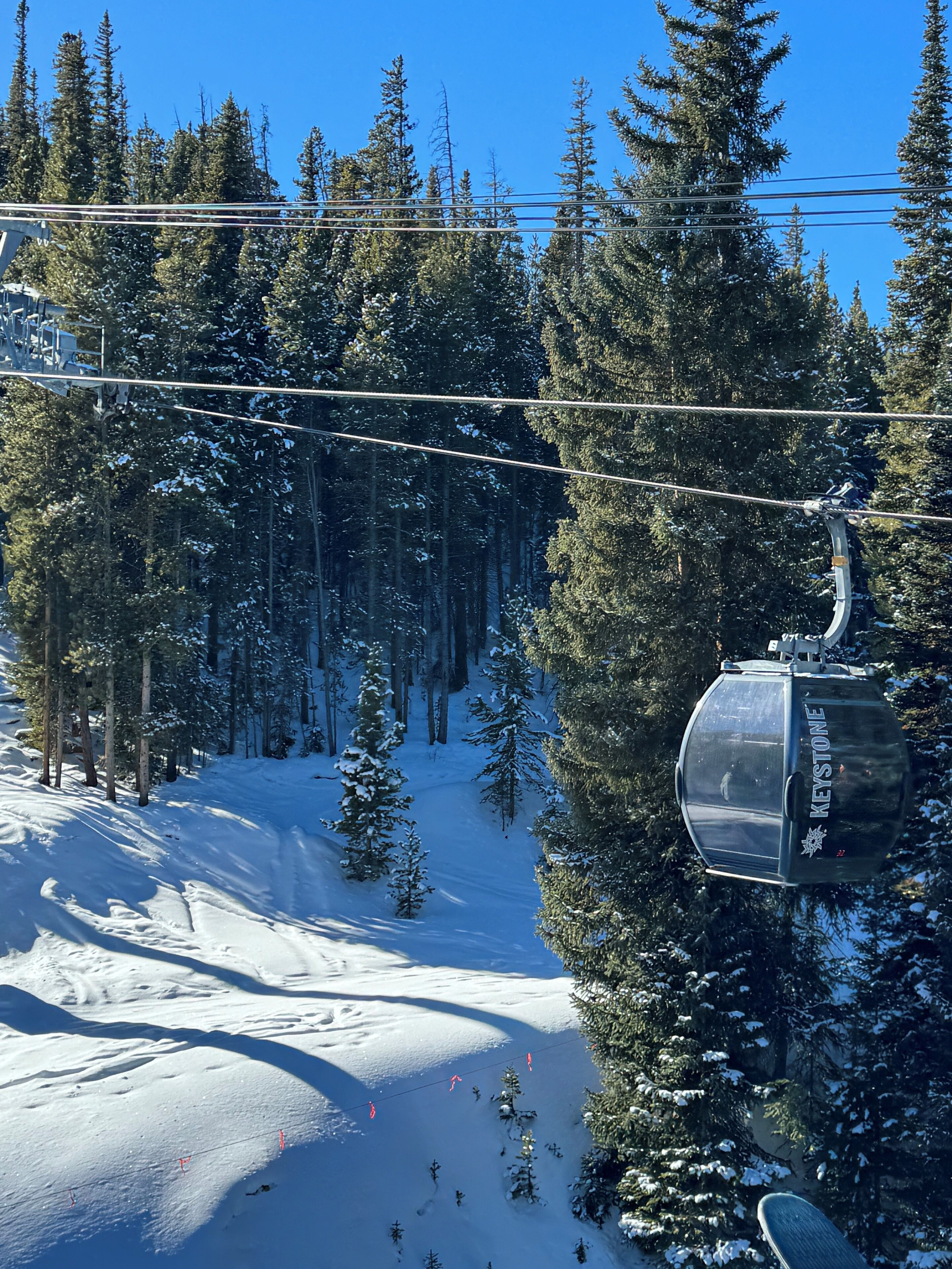 Snø- og skisport