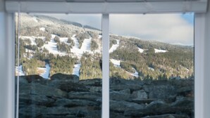 A view through a window with a stone ledge, featuring a snowy landscape with trees and a mountain in the background.