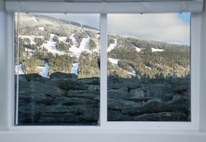 Interior - Modern 6 Bed 5.5 Bath Lodge Right Under Revelstoke Mountain Resort (revelstoke)