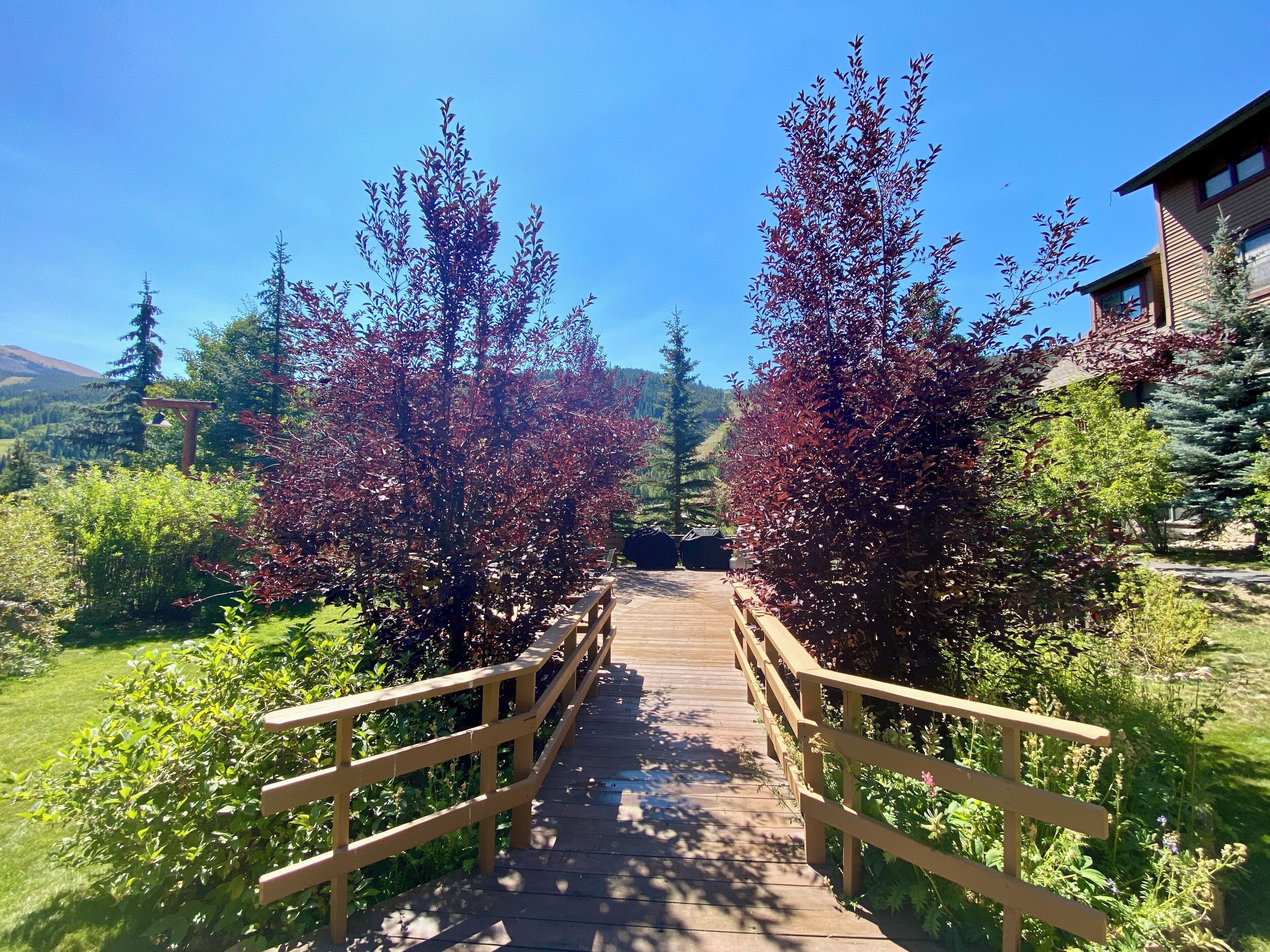 Un sentier en bois traverse un jardin où poussent des arbres aux feuilles rouges, et un bâtiment se trouve sur la droite.