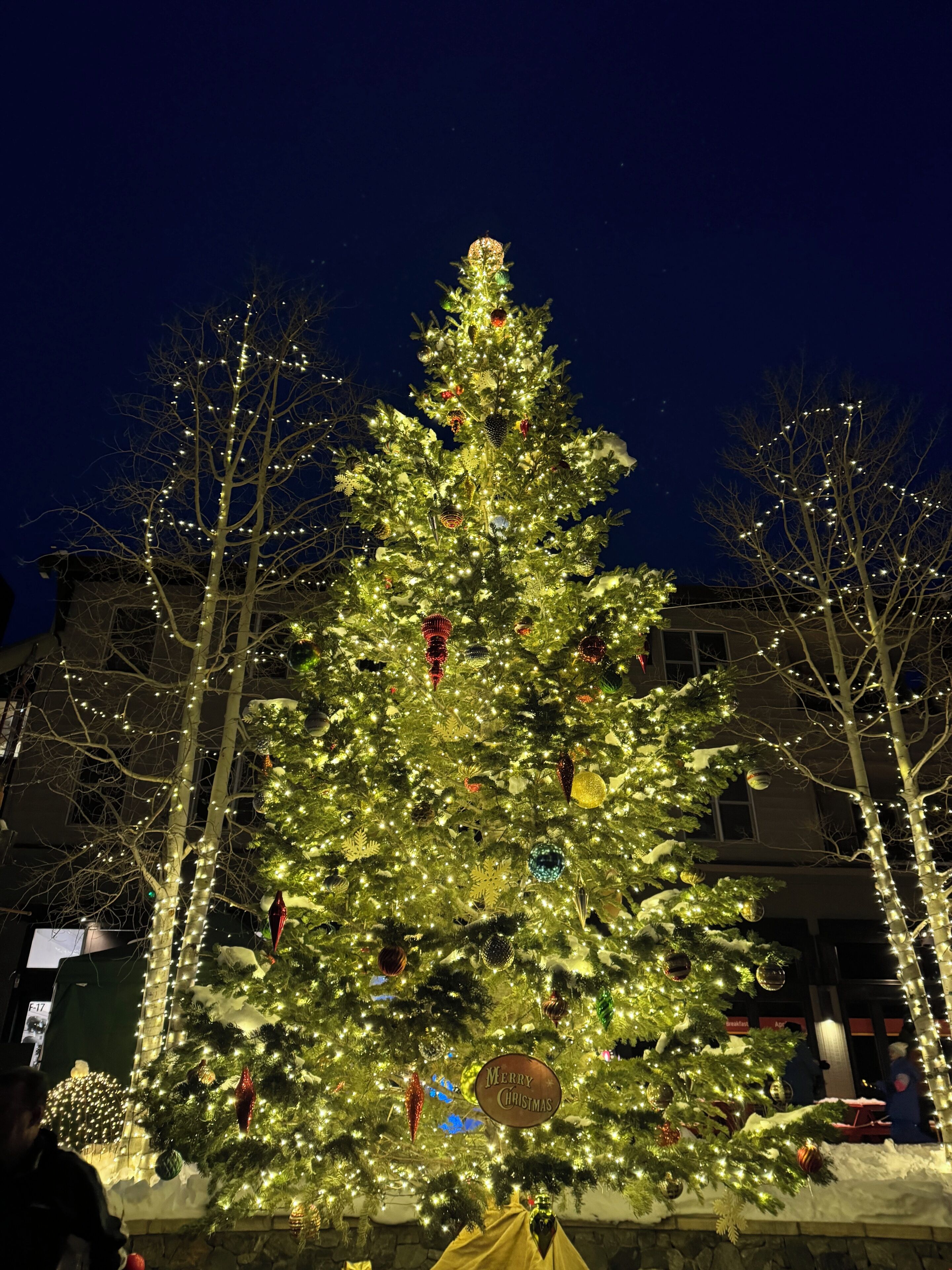 The Holiday Tree in River Run