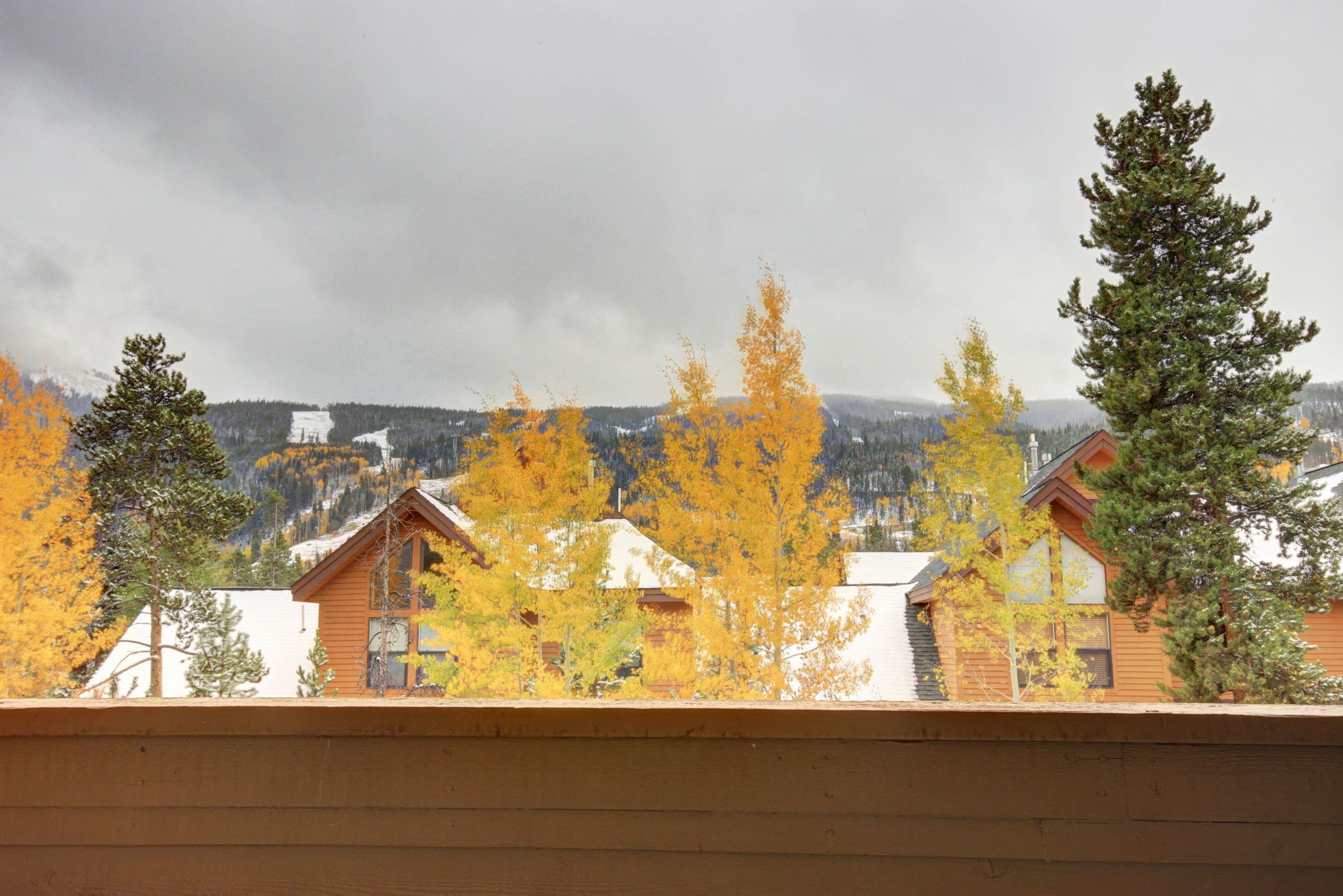 Une vue de chalets, avec en arrière-plan des arbres aux couleurs automnales et un ciel nuageux.