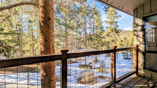 Property grounds - Quiet, Outdoor Pool/Indoor Hot Tub, Shuttle (Keystone)