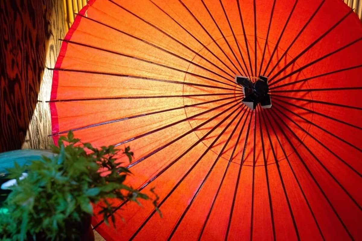 Un paraguas rojo con mango negro, una superficie de madera y una planta verde.