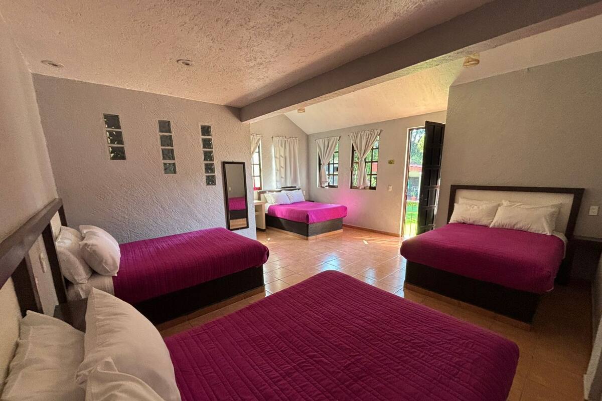 A hotel room with two beds, a large mirror, and a view of the garden through the window.