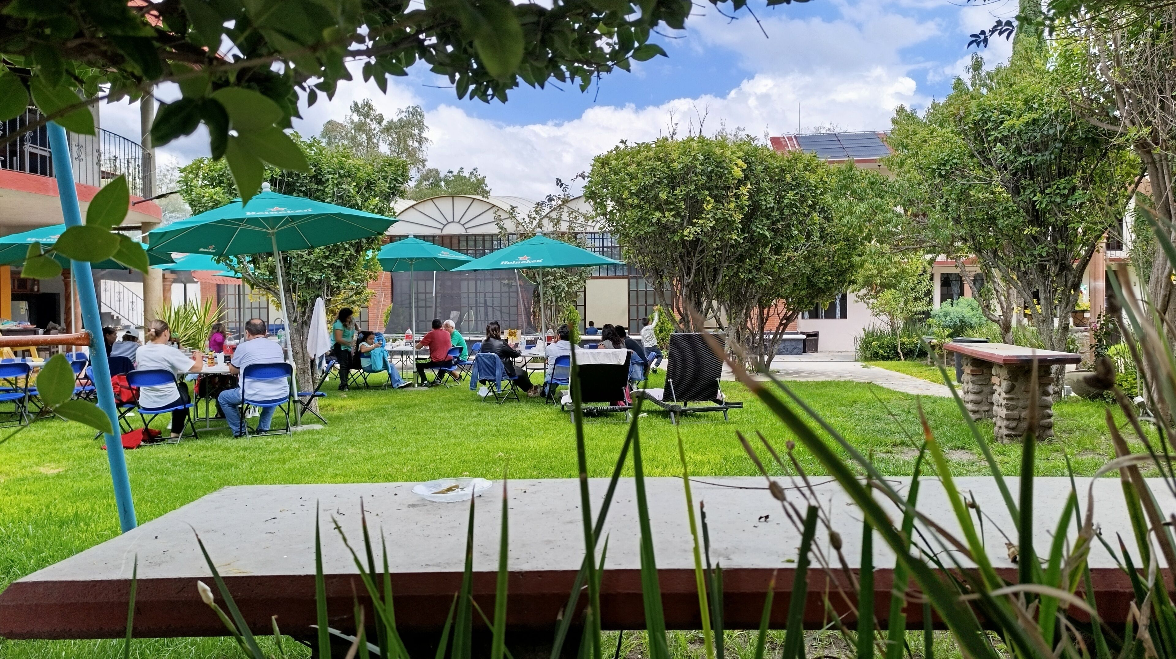 An outdoor dining area with tables and chairs, surrounded by greenery and a building with a solar panel roof.