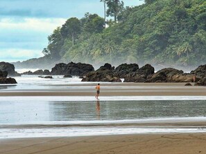 Une plage parsemée de rochers, avec une végétation tropicale luxuriante en arrière-plan.