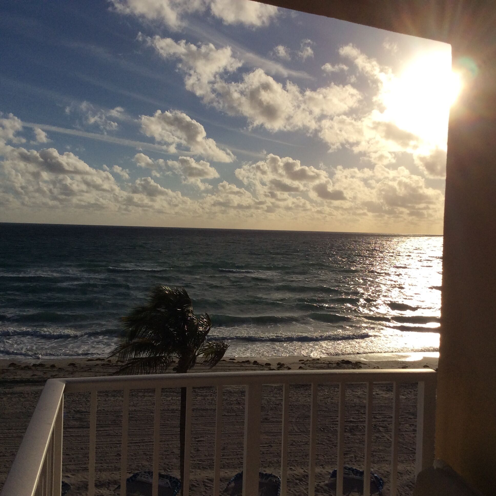 OCEAN VIEW FROM EVERY ROOM . CLOSE TO FORT LAUDERDALE AIRPORT. BYCICLES RENT