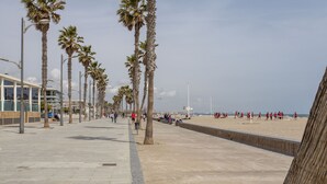 Un amplio paseo marítimo con palmeras, una playa y un edificio con grandes ventanales.