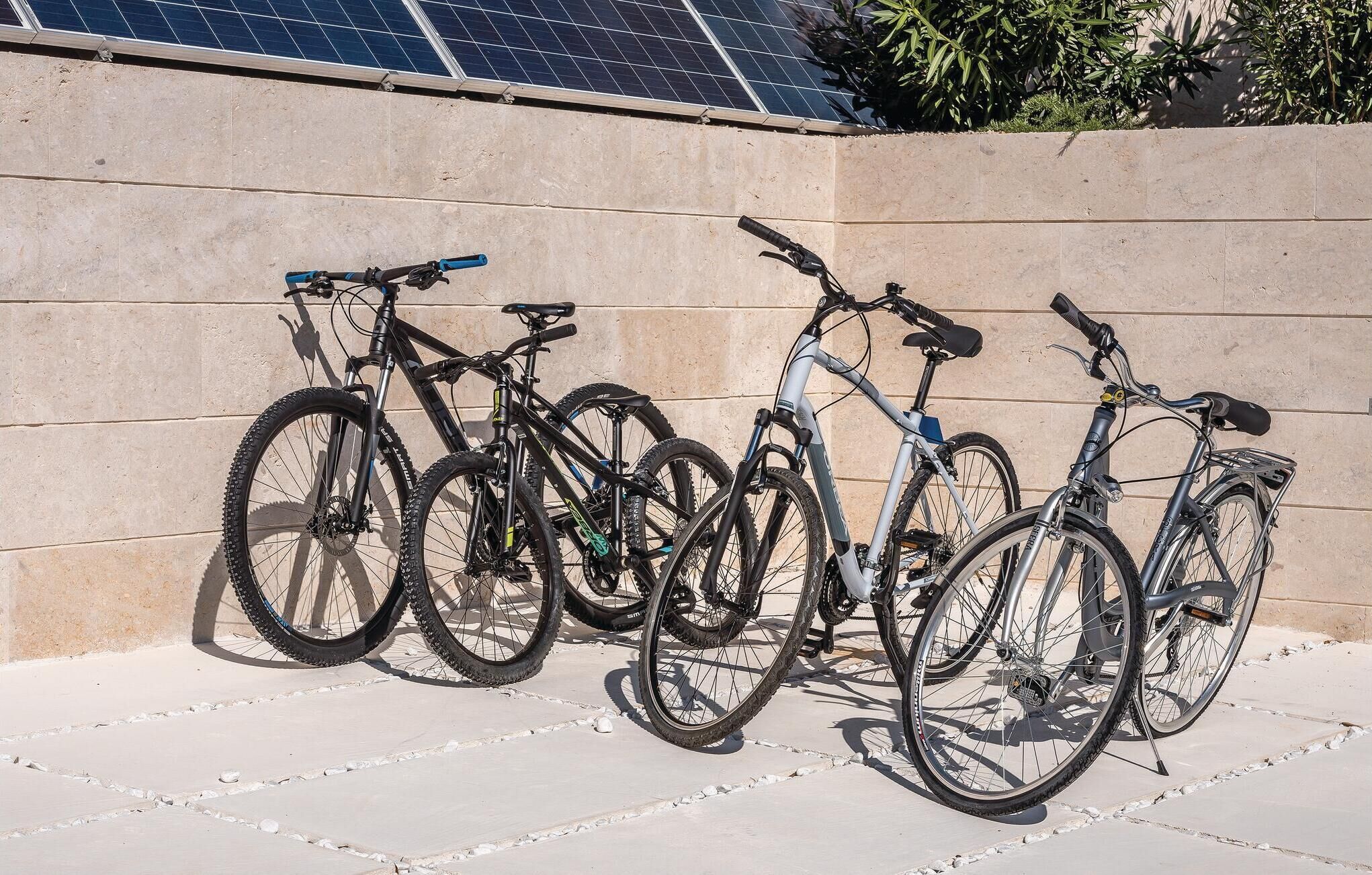 Une rangée de vélos est garée contre un mur, au-dessus duquel sont installés des panneaux solaires.