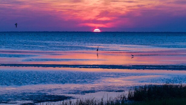 Un atardecer sobre un mar tranquilo con un ave volando y una persona de pie en la orilla.