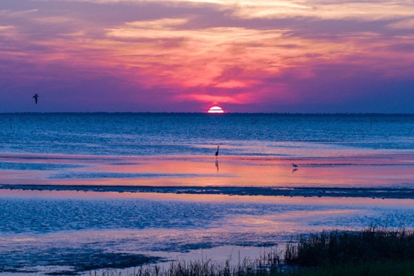 Sillas reclinables de playa, toallas de playa