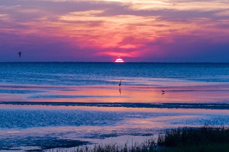 Sun-loungers, beach towels. Charming Pet Friendly Cottage (#1) in Downtown Port St Joe