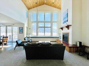 TV, fireplace, video games, DVD player