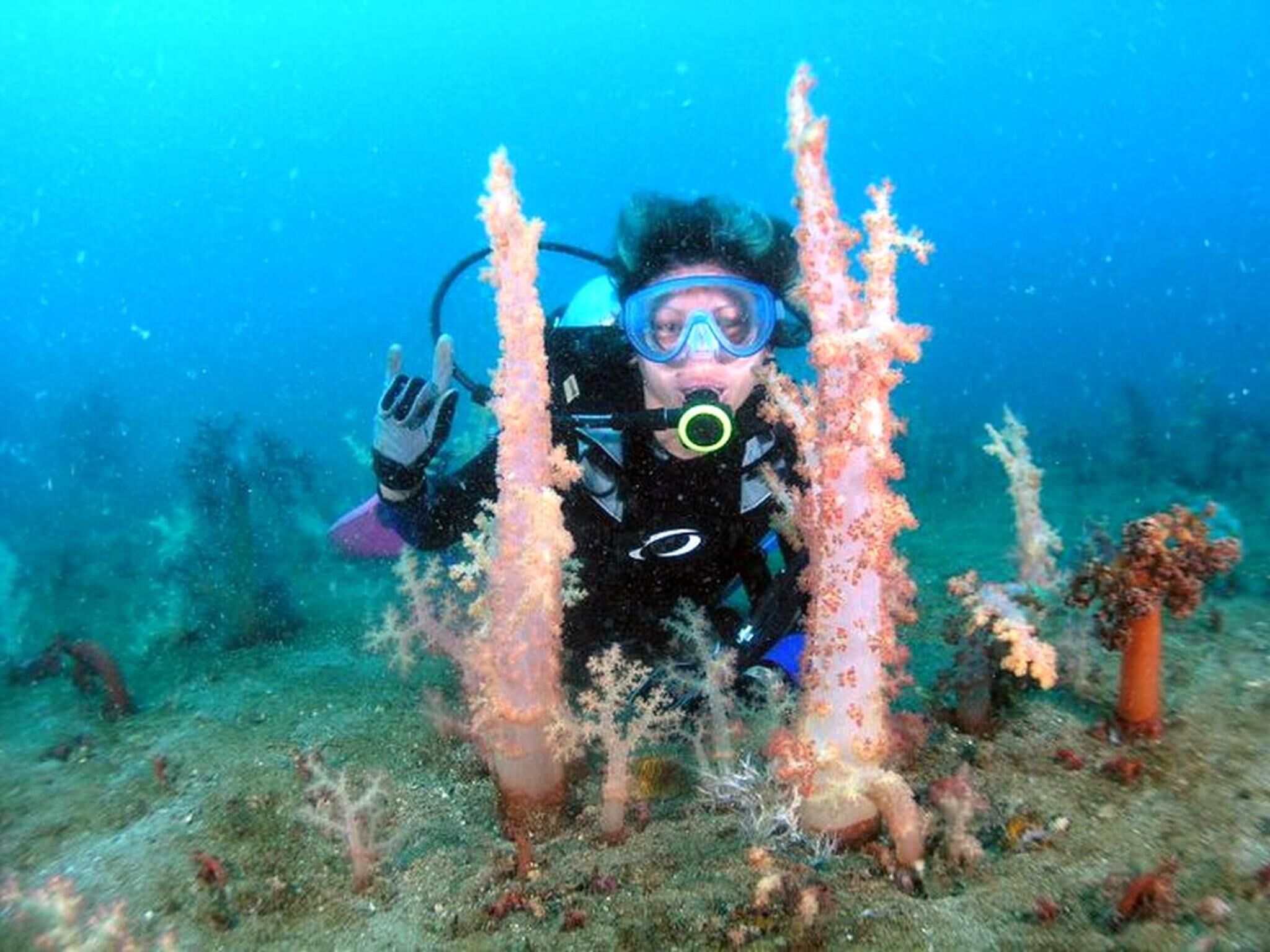 A diver surrounded by coral formations underwater.
