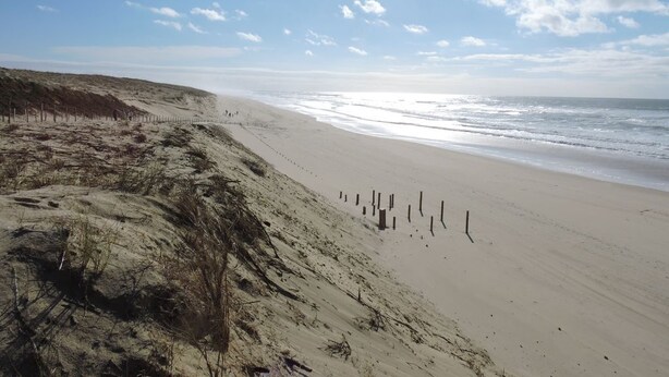Une plage de sable fin, avec un ciel dégagé et des vagues sur l’océan.