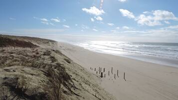 Beach nearby, sun loungers