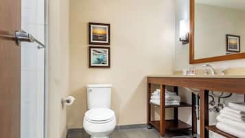 Een badkamer met toilet, wastafel en handdoekhouder.