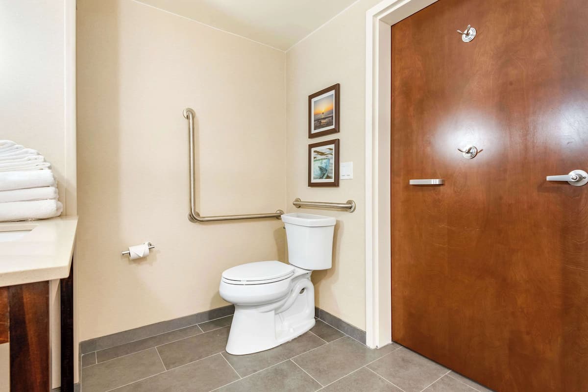A bathroom with a white toilet, a handrail, and a door with a handle.