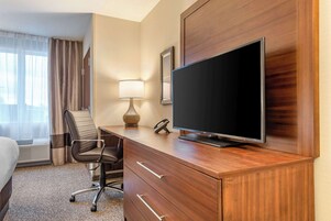 Habitación estándar, 1 cama de matrimonio grande, no fumadores | Escritorio y espacio para trabajar con un portátil