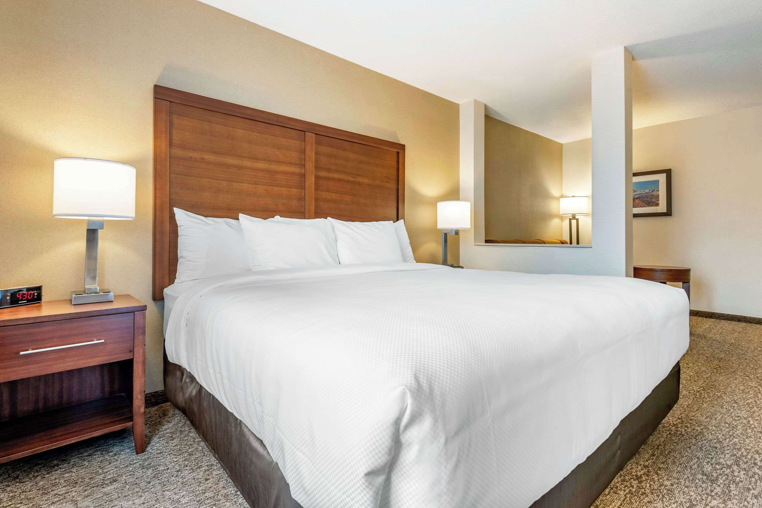 suite, 1 king bed with sofa bed, non smoking | desk, laptop workspace, iron/ironing board, free wifi