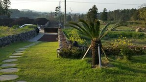 A pathway with stepping stones leading to a gate, surrounded by greenery and a palm tree. - Sonangche (Jeju City)