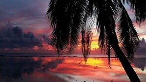 بالقرب من الشاطئ