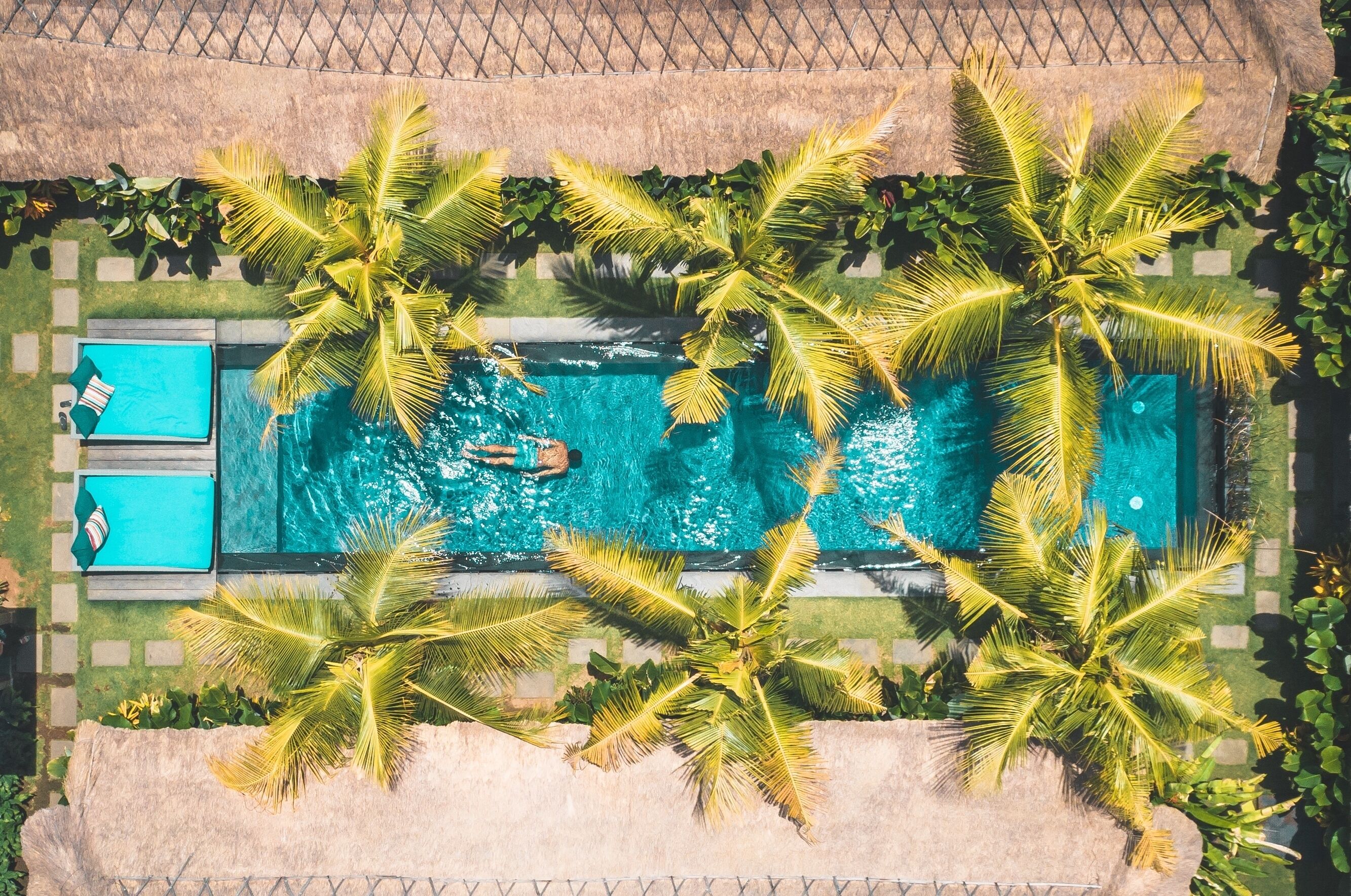 Une vue aérienne d’une piscine entourée de palmiers, avec une personne qui nage et une chaise longue sur la gauche.