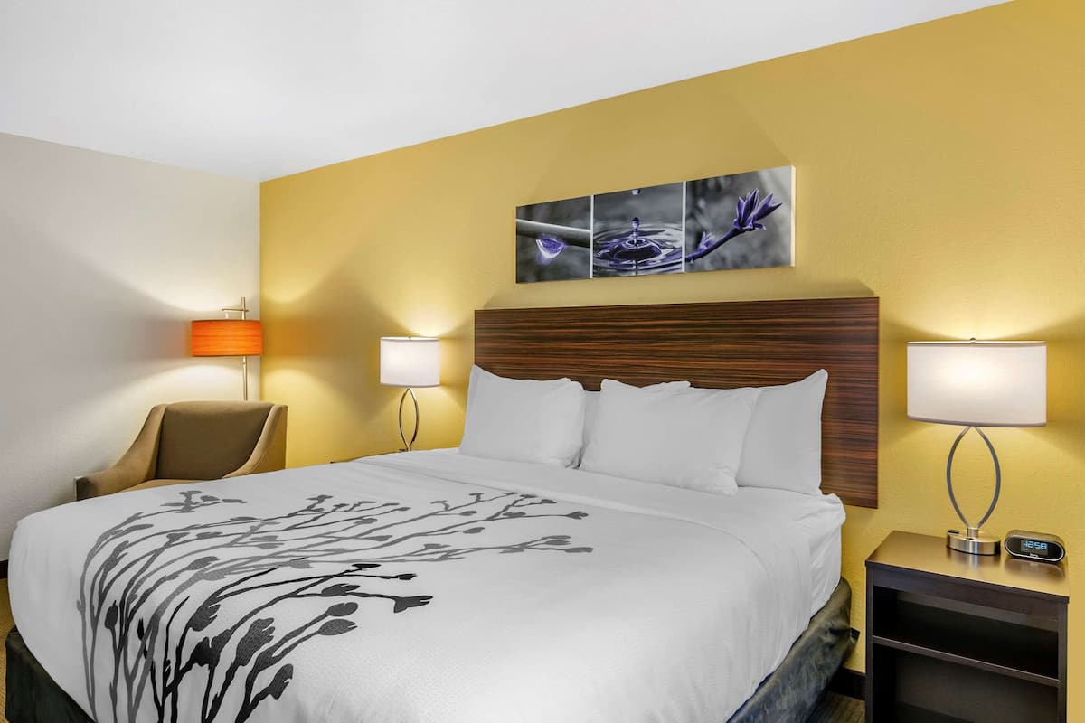 A hotel room with a large bed, two bedside lamps, a chair, and a wall-mounted artwork.