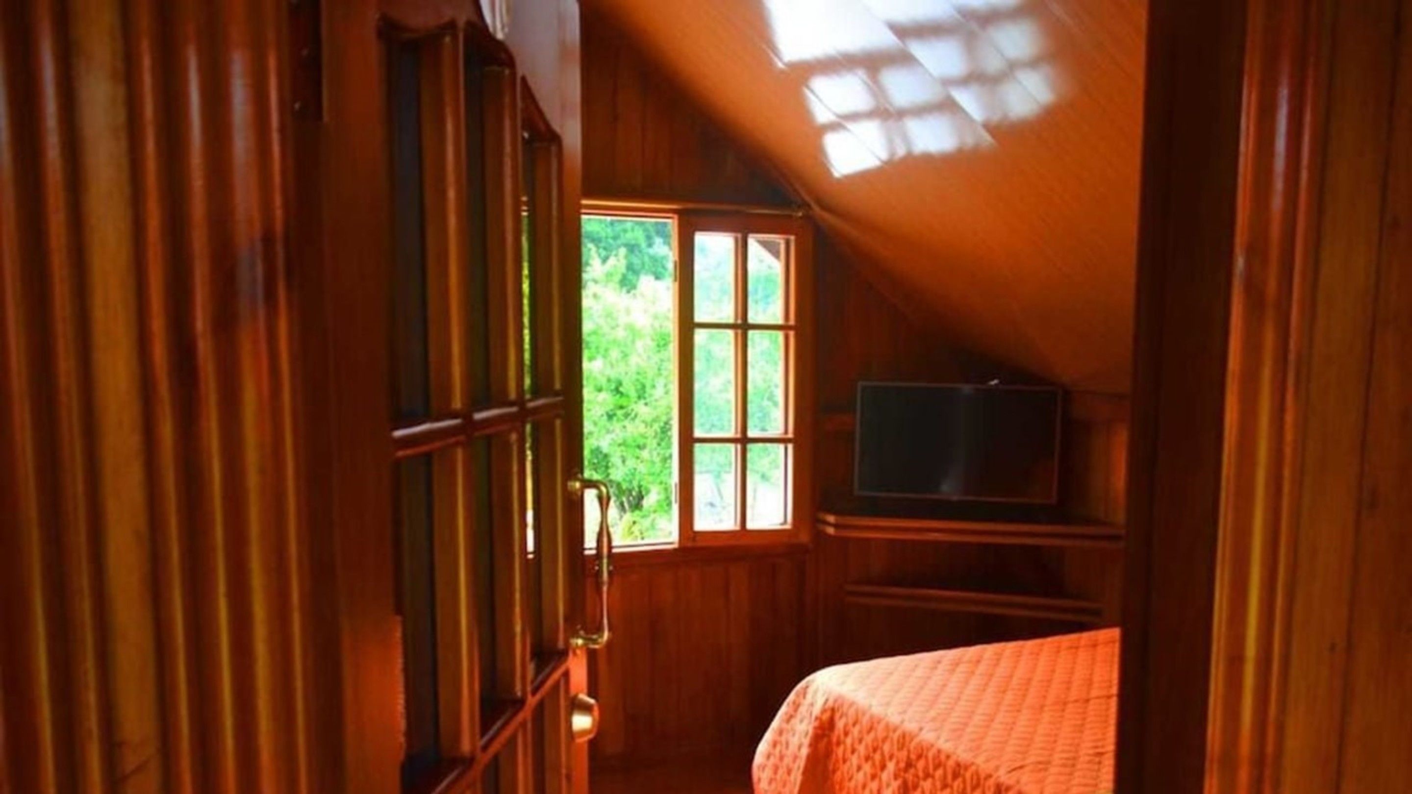 A room with wooden walls, a window with a view of greenery, a bed with a patterned bedspread, and a television on a stand.