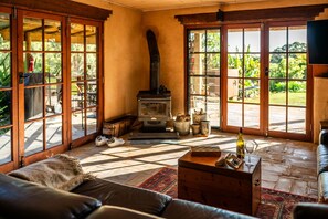 TV connectée, cheminée, lecteur de DVD, livres