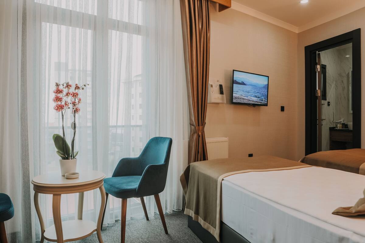 A hotel room with a bed, a desk with a chair, a potted plant, a television on the wall, and a bathroom door.