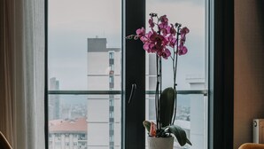 A room with a large window, a round table with chairs, a potted plant, and a view of buildings. - Grand Lark Otel (Istanbul)