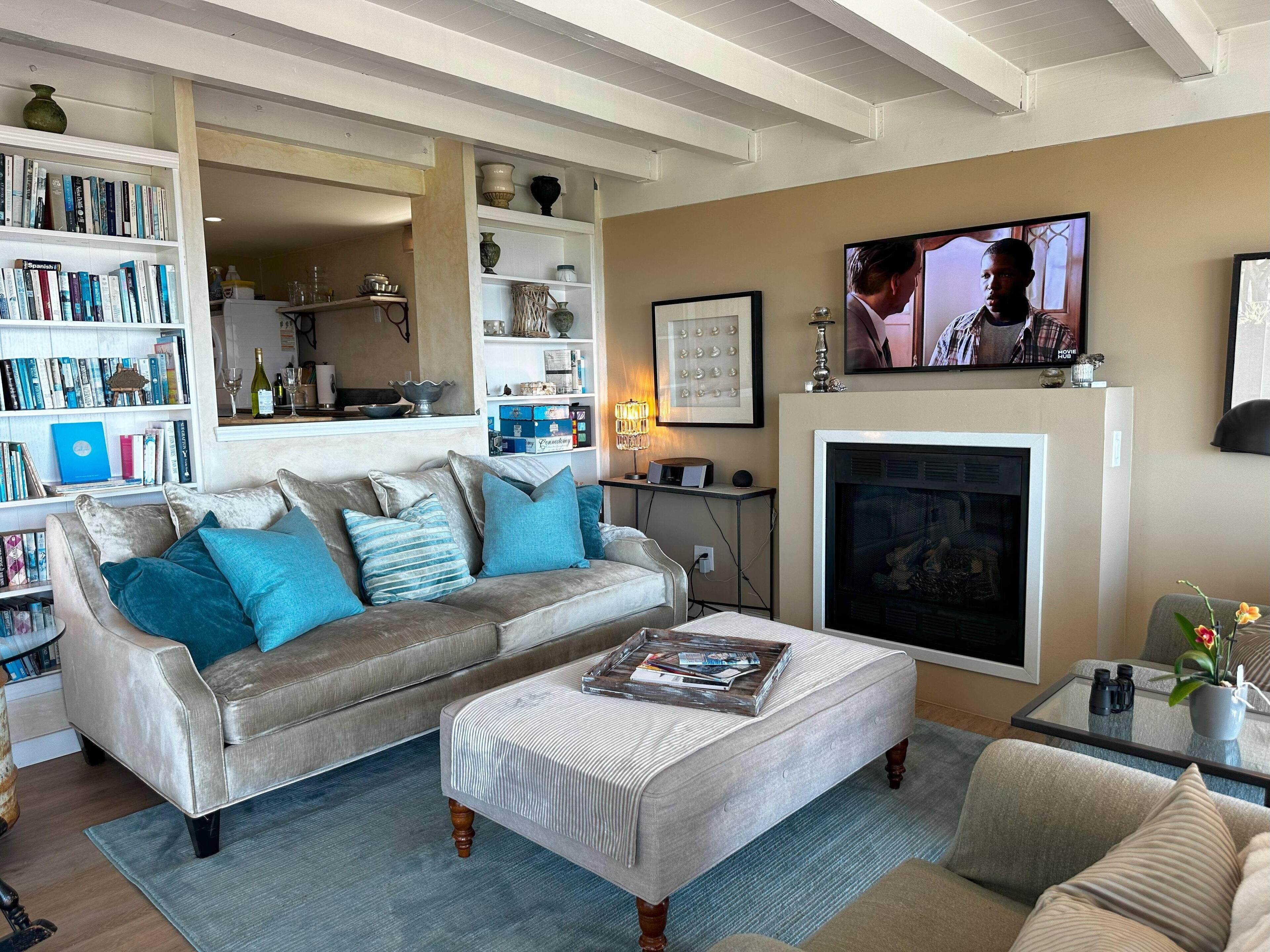 電視、壁爐、DVD 播放機、書籍