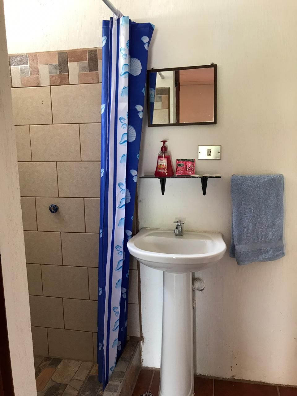 Un baño con ducha, lavabo, espejo y artículos de aseo.