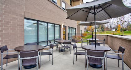 TownePlace Suites by Marriott Detroit Belleville